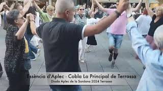 Essència dAplec  Cobla La Principal de Terrassa [upl. by Eryn]