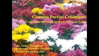 Puccini Crisantemi transcribed for String Orchestra by Yoav Talmi [upl. by Ris97]