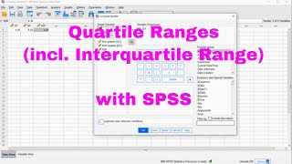 SPSS  Quartile Ranges [upl. by Eelrefinnej]