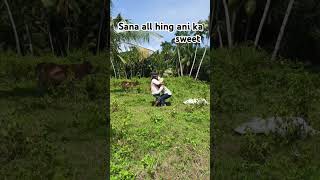 Sana all hing ani ka sweet trending comedy bisayaako funnyvideos [upl. by Harshman]