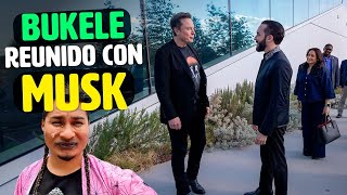 Elon Musk se Reune con Bukele Opositores Lloran [upl. by Anileva444]