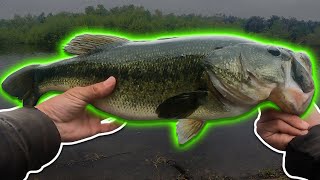 Big Bed Bass At Puddingstone Reservoir  May 2022 [upl. by Aynuat704]