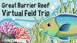 Great Barrier Reef – Virtual Feld Trip [upl. by Orelu]