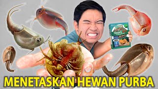 HEWAN PURBA 220JUTA TAHUN MENETAS DARI BUBUK 24JAM JADI TRIOPS TRIOPS LONGICAUDATUS [upl. by Ethe363]