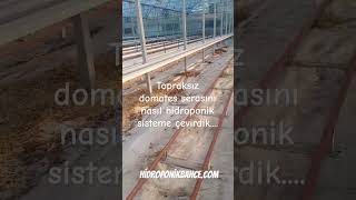 wwwhidroponikbahcecom 905469767001 greenhouse hydroponic hidroponik [upl. by Akihsal865]