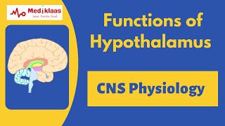 Functions of Hypothalamus  Nerurology  Physiology  Mediklaas [upl. by Airlia]