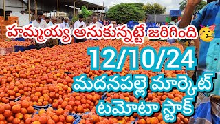 121024 Madanapalle Tomato Market price Today  Today Tomato Market Rate in Madanapalle today [upl. by Root558]