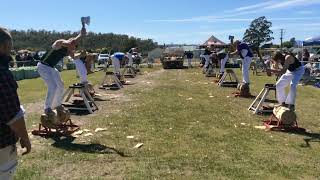 Woodchopping Heat Underhand Handicap NTAA Carnival Exeter 121024 [upl. by Gnilhsa]