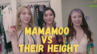 MAMAMOO VS THEIR HEIGHT [upl. by Saffier]