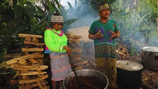 This Native Tribe Communicates with Plants Shipibo Amazonian Shamanism [upl. by Aedni]