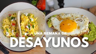 5 Recetas de Desayunos Saludables y Deliciosos que debes probar [upl. by Ydnic]