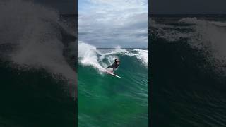 Dee why boardrider surfing Dee why point this morning [upl. by Monk]