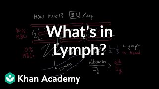 What is actually in lymph  Lymphatic system physiology  NCLEXRN  Khan Academy [upl. by Janetta806]