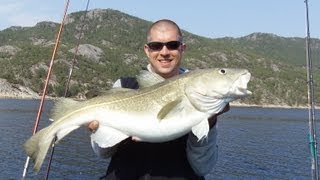 Live Bisse Dorsche überlisten bei wenig Drift Hitra Norwegen quotExitusFishingquot [upl. by Thorner]