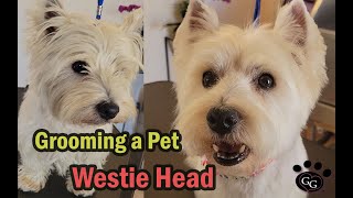 Grooming a Pet Westie Head with Tipped Ears  West Highland White Terrier Groom  Ginas Grooming [upl. by Gilberto535]