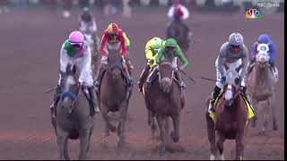 Arrogate Career Highlights [upl. by Annahtur277]