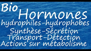 Hormones hydrophiles et hydrophobes [upl. by Cordell]