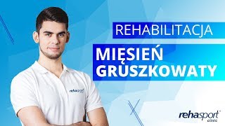 Mięsień gruszkowaty  przyczyny rehabilitacja  Rehasport Clinic [upl. by Messab782]