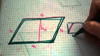 Flächeninhalt eines Parallelogramms berechnen  Mathe verstehen [upl. by Slaughter]