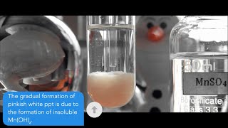 How ManganeseII sulfate MnSO4 react with sodium hydroxide NaOH  MnSO4NaOH [upl. by Eenehs]