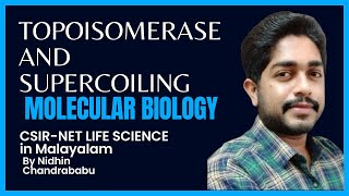 TOPOISOMERASE AND SUPERCOILING  MOLECULAR BIOLOGY  CSIR NET LIFE SCIENCE in Malayalam [upl. by Nnairret103]