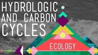 The Hydrologic and Carbon Cycles Always Recycle  Crash Course Ecology 8 [upl. by Harrie]