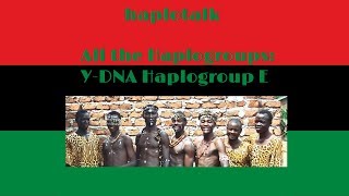 All the Haplogroups Y DNA Haplogroup E E0019 [upl. by Calvina]