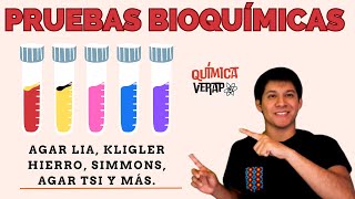 PRUEBAS BIOQUIMICAS Microbiología Pruebas Bioquimicas identificación bacteriana Pruebas Bioquimicas [upl. by Sweet]