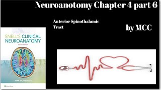 Neuroanatomy Chapter 4 part 6Anterior Spinothalamic TractCrude touch pathwayspinal lemniscus [upl. by Cormac503]