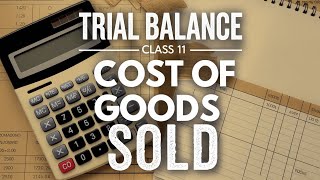 Trial Balance l Class 11 l Accounts l Part 4 l Cost Of Goods Sold in Trial Balance l [upl. by Ahrat73]