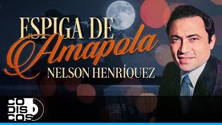 Espiga De Amapola Nelsón Enríquez  Video [upl. by Wainwright]