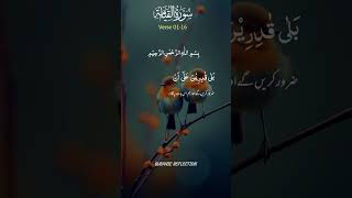 Nice Quran Recitation 🩷😍  quran sharif shorts [upl. by Weisbart]