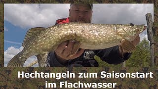 Hechtangeln im Flachwasser Saisonstart [upl. by Adleme]