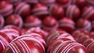 Cricket Ball  How Do They Do It [upl. by Rafa]