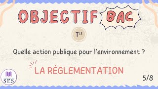 BAC Cours Environnement  La réglementation [upl. by Zeuqram]