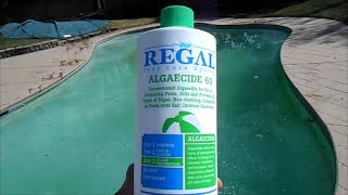 Kill Algae using Regal Algaecide 60 Polyquat [upl. by Brietta]