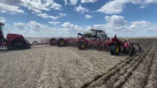 Planting Invigor Canola with CaseIH 620 pulling Bourgault 86’ 3335 with 91300 Cart [upl. by Mylo]