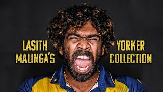 Lasith Malinga the king of yorkers [upl. by Rosemarie]