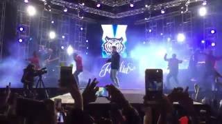 J Balvin  Ginza  En vivo [upl. by Baron498]