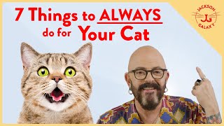 Instantly Improve Your Cats Life with these 7 Things [upl. by Mohl]