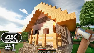 Minecraft Gameplay Walkthrough Part 1  Minecraft RTX 4K 60FPS PC No Commentary [upl. by Airbas485]