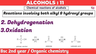 Dehydrogenation amp oxidation of alcohols  Alcohols  Bsc 2nd year organic chemistry  by chemboost [upl. by Neivad]