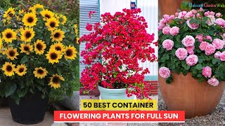 50 BEST CONTAINER FLOWERING PLANTS FOR FULL SUN [upl. by Yrehc]