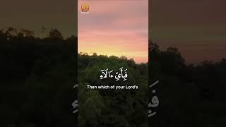 Ar Rahman  Powerful Ayat quran recitation surah tiktok ayatulkursi shorts qurantilawat fyp [upl. by Emalia193]