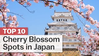 Top 10 Cherry Blossom Spots in Japan  japanguidecom [upl. by Ailee]