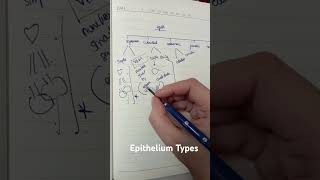 EPITHELIUM TYPES PART 1 MRCOG1 mrcog [upl. by Amleht]