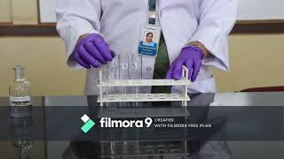 Assay of Amylase Enzyme by Colorimetry [upl. by Farika]