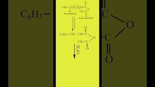 Perkins Reaction  Preparation of Cinnamic Acid  Carbonyl Compounds  Organic Chemistry Class 12 [upl. by Adlig863]