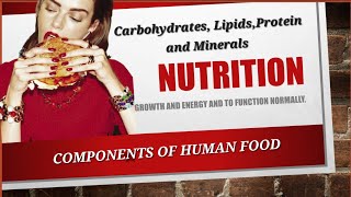 Nutrition Part2 Components of human foods Carbohydrates Lipids Protein BIOLOGY Ch 8 Class 9 Urdu [upl. by Adroj644]