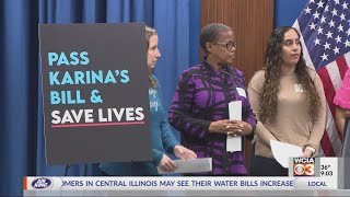 Advocates against domestic violence call on Illinois lawmakers to pass Karina’s bill [upl. by Zacharias]